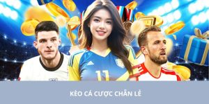 kèo cá cược chẵn lẻ