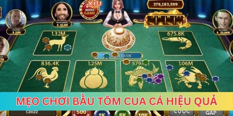 Hãy tập khả năng quan sát trong bầu tôm cua cá là gì