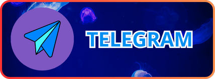 liên hệ telegram kuwin